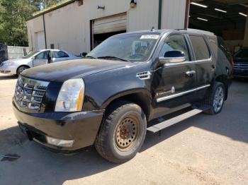  Salvage Cadillac Escalade