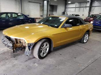  Salvage Ford Mustang