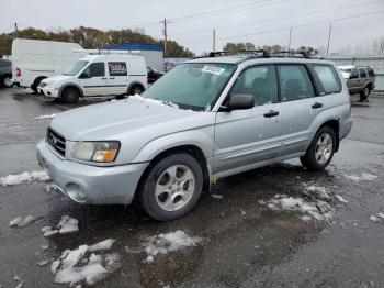  Salvage Subaru Forester