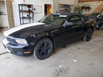  Salvage Ford Mustang