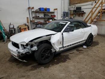  Salvage Ford Mustang