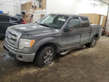  Salvage Ford F-150