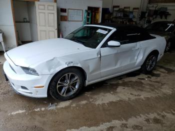  Salvage Ford Mustang