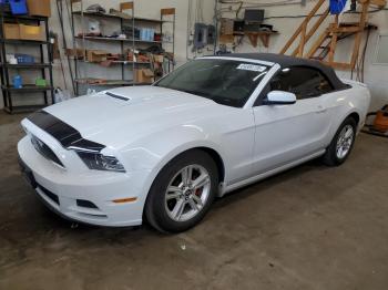  Salvage Ford Mustang
