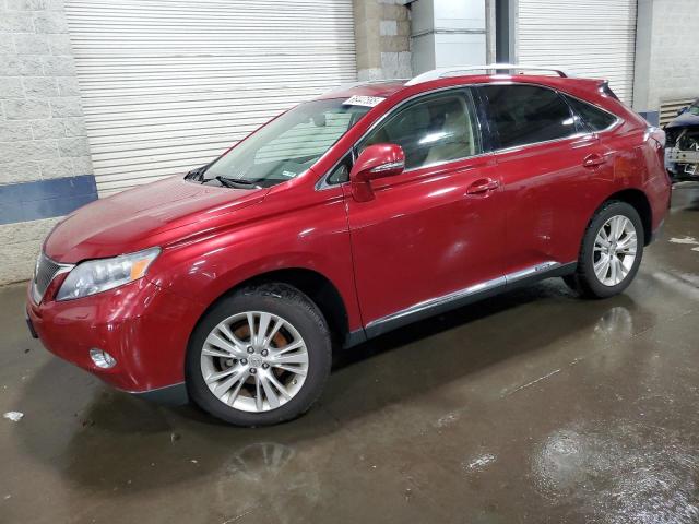 Salvage Lexus RX