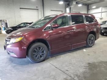  Salvage Honda Odyssey
