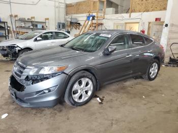  Salvage Honda Crosstour