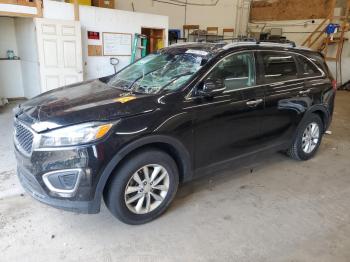  Salvage Kia Sorento