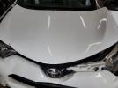 Toyota RAV4 Se Image 7