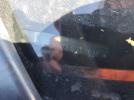 BMW 3 Series Xi Image 8