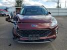 Ford Escape Sel Image 3