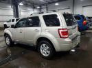 Ford Escape Limited Image 4