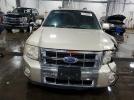 Ford Escape Limited Image 5