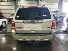 Ford Escape Limited Image 7