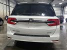 Honda Odyssey Elite Image 8