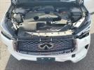 INFINITI Qx Pure Image 13