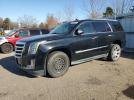 Cadillac Escalade Luxury Image 1