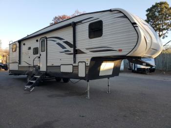  Salvage Palomino Puma