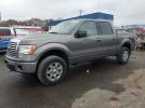 Ford F-150 Supercrew Image 1