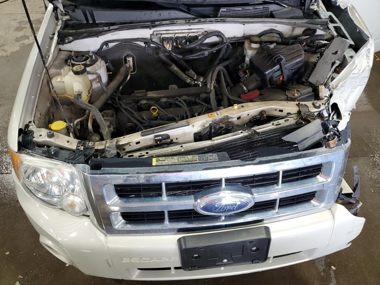 Ford Escape Xlt Image 12