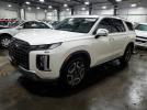 Hyundai PALISADE Limited Image 1