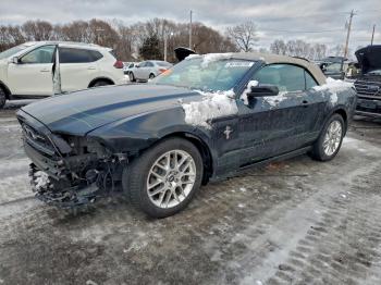  Salvage Ford Mustang