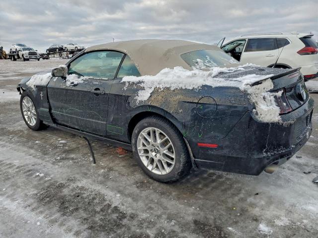 Ford Mustang Image 10