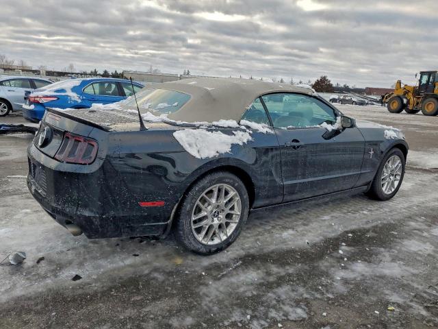 Ford Mustang Image 5