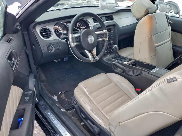 Ford Mustang Image 4