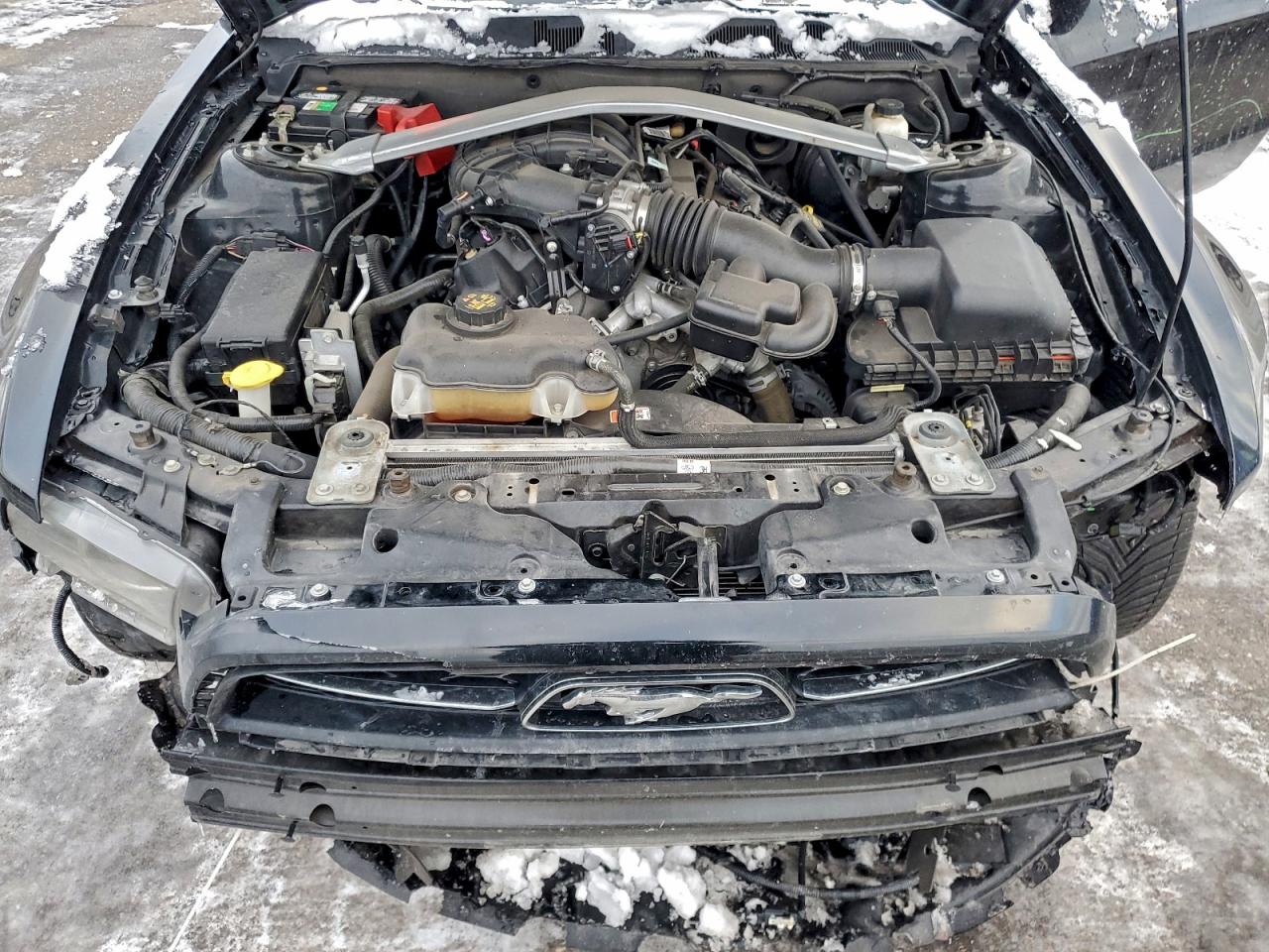 Ford Mustang Image 11