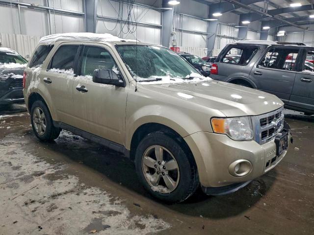 Ford Escape Xlt Image 5