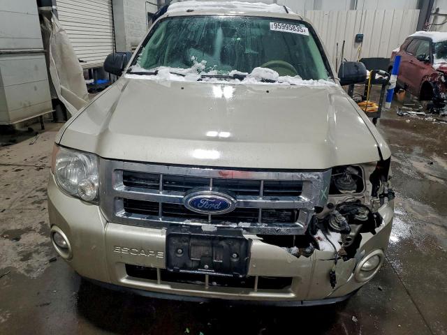 Ford Escape Xlt Image 6