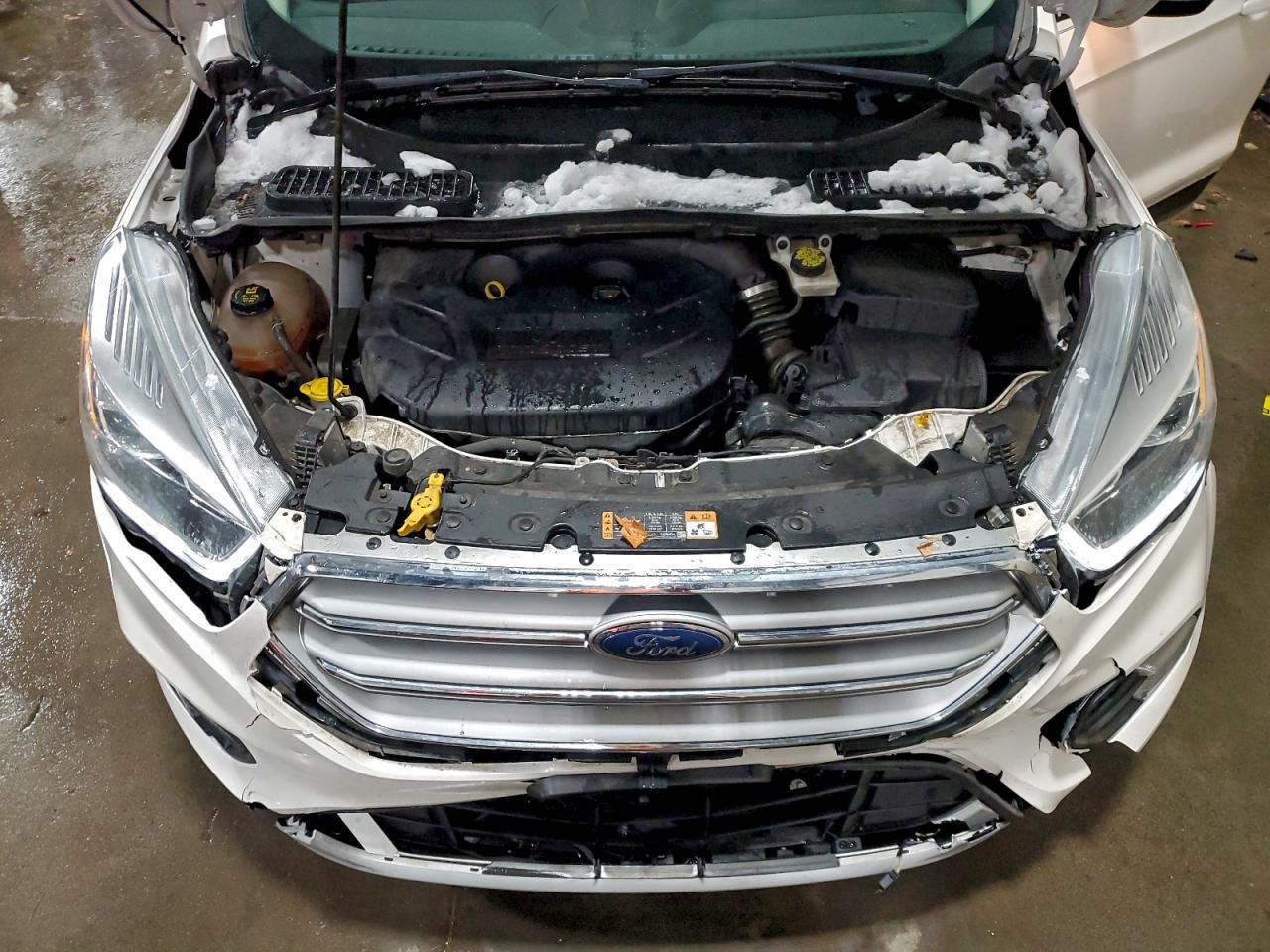 Ford Escape Titanium Image 5