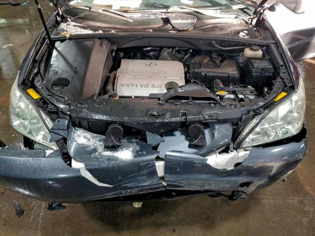 Lexus RX 330 Image 10