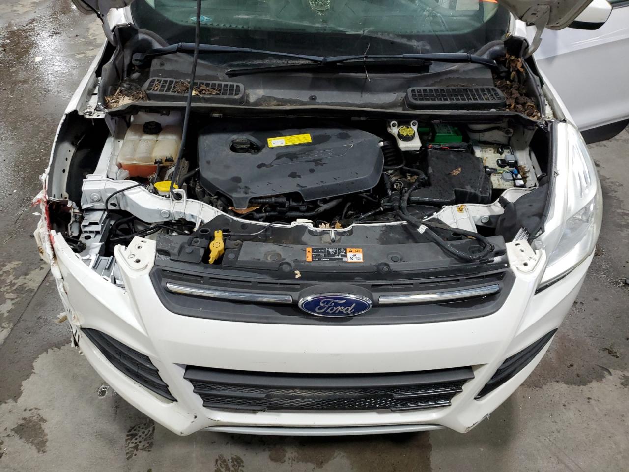 Ford Escape Se Image 12