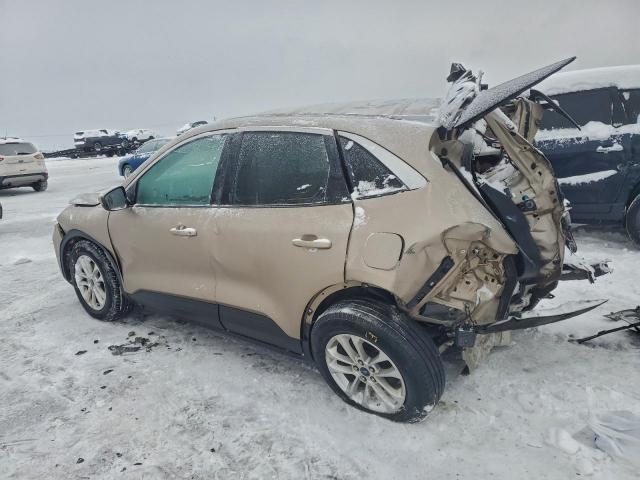 Ford Escape Se Image 3