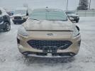 Ford Escape Se Image 8