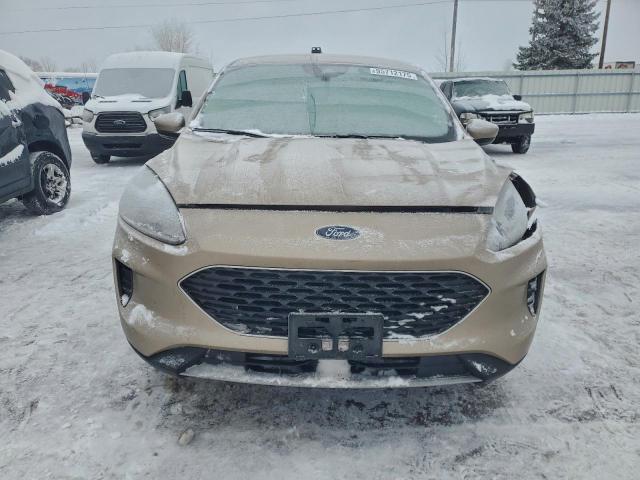 Ford Escape Se Image 8