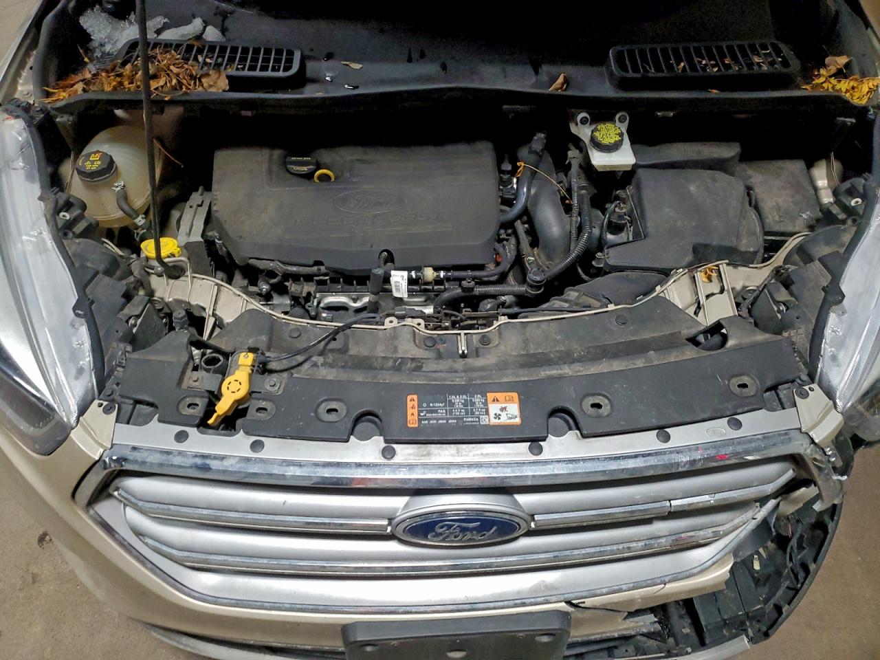 Ford Escape Titanium Image 8