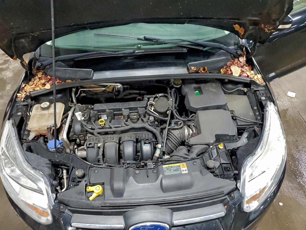 Ford Focus Se Image 8