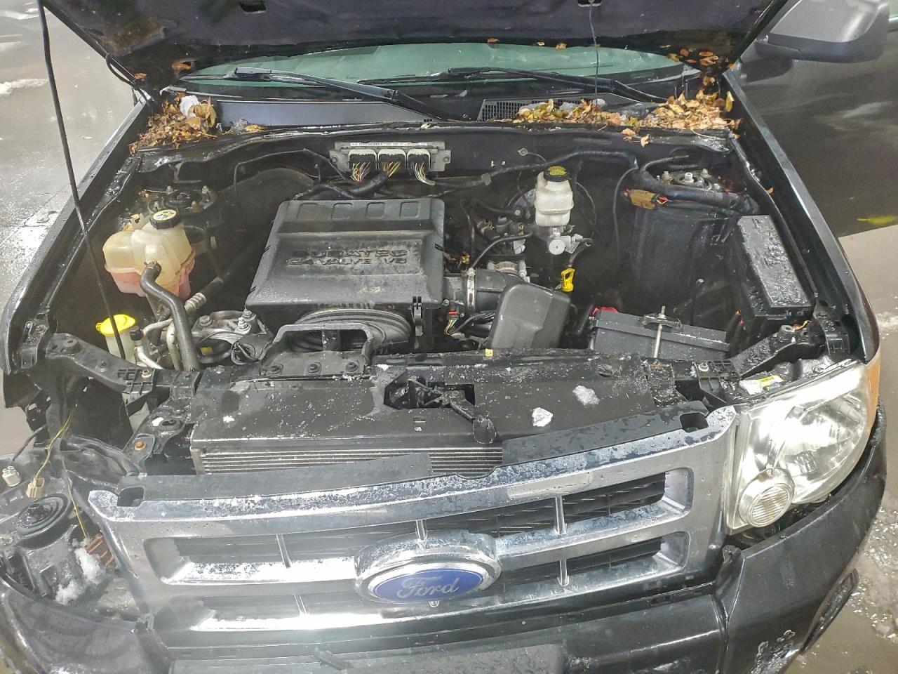 Ford Escape Xlt Image 7