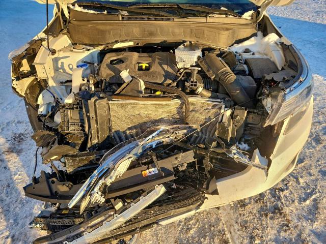 Kia Seltos Ex Image 9