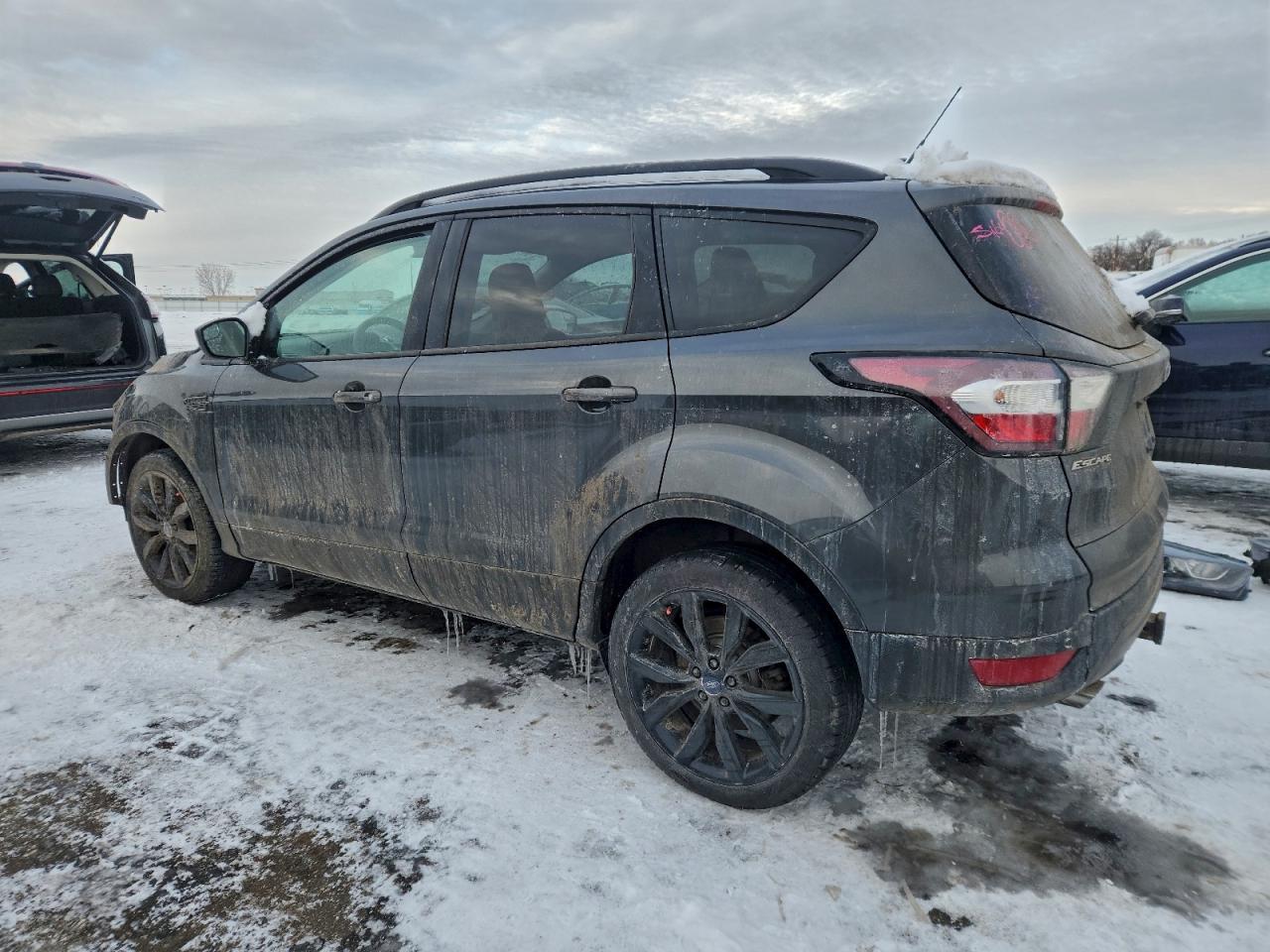 Ford Escape Sel Image 6