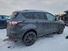 Ford Escape Sel Image 14