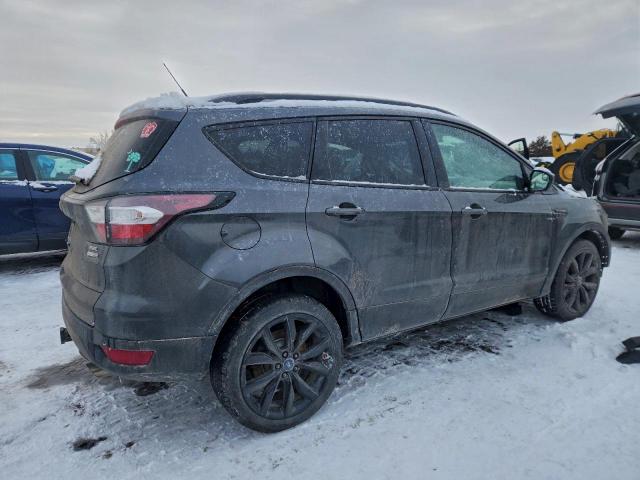 Ford Escape Sel Image 14