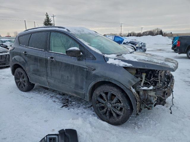 Ford Escape Sel Image 2