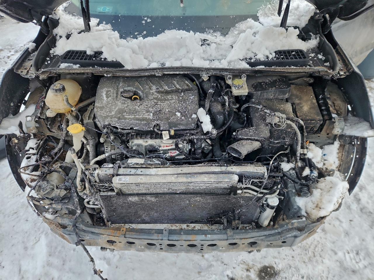 Ford Escape Sel Image 9