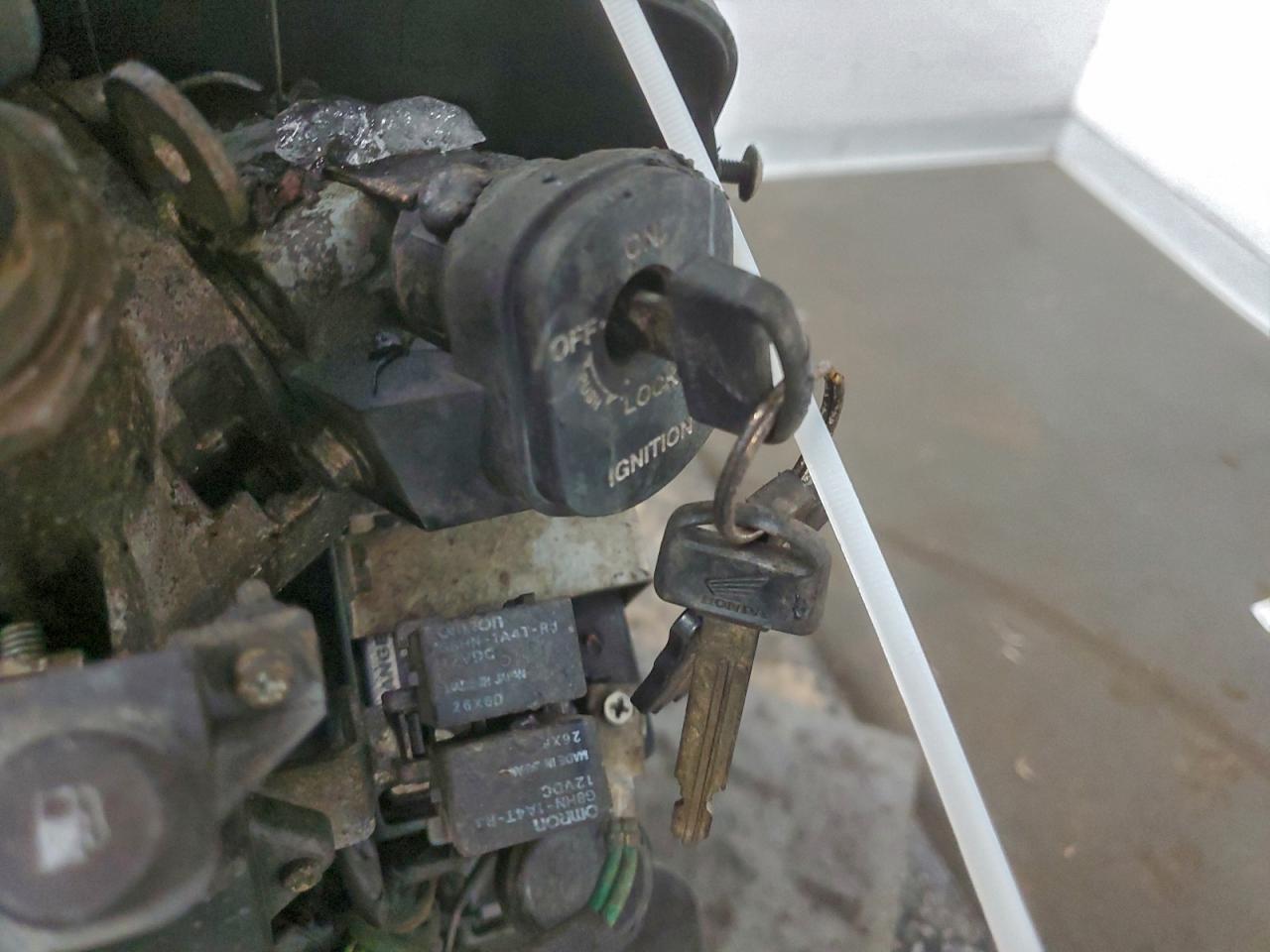 Honda Ruckus Image 7