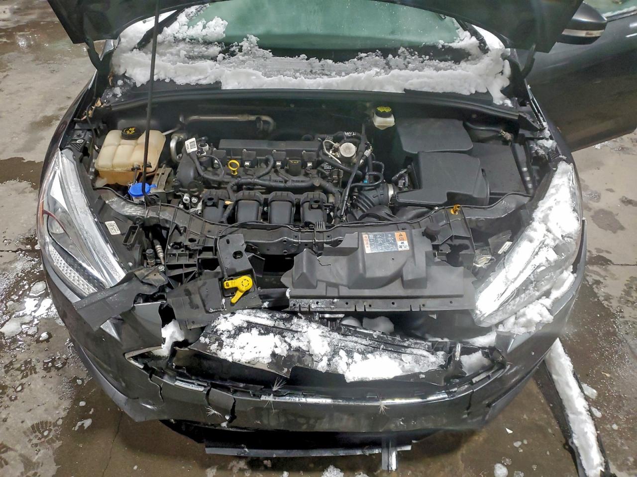 Ford Focus Se Image 8