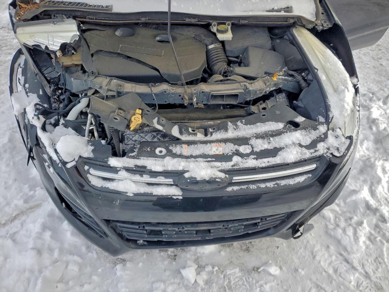 Ford Escape Se Image 11